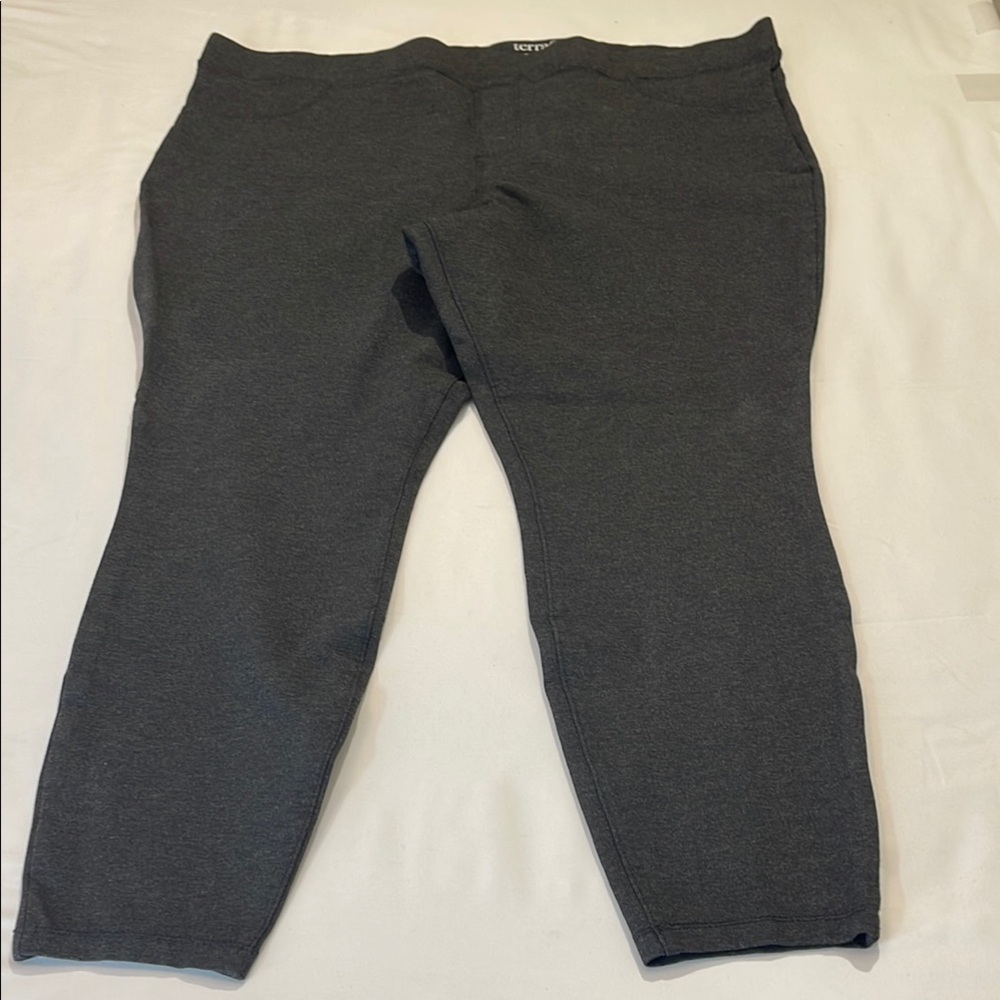TERRA & SKY WOMENS SIZE 20-22W Dark Gray PULL on  Pants